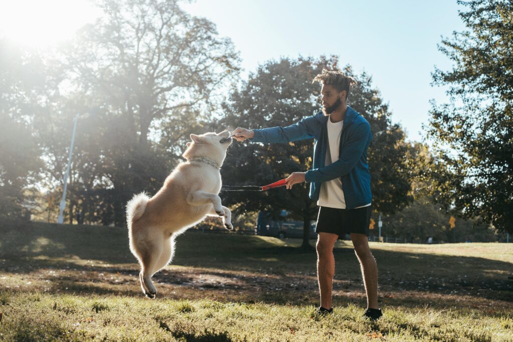 Is bikejoring good for dogs in 2024?
What Exactly is Bikejoring in 2024?