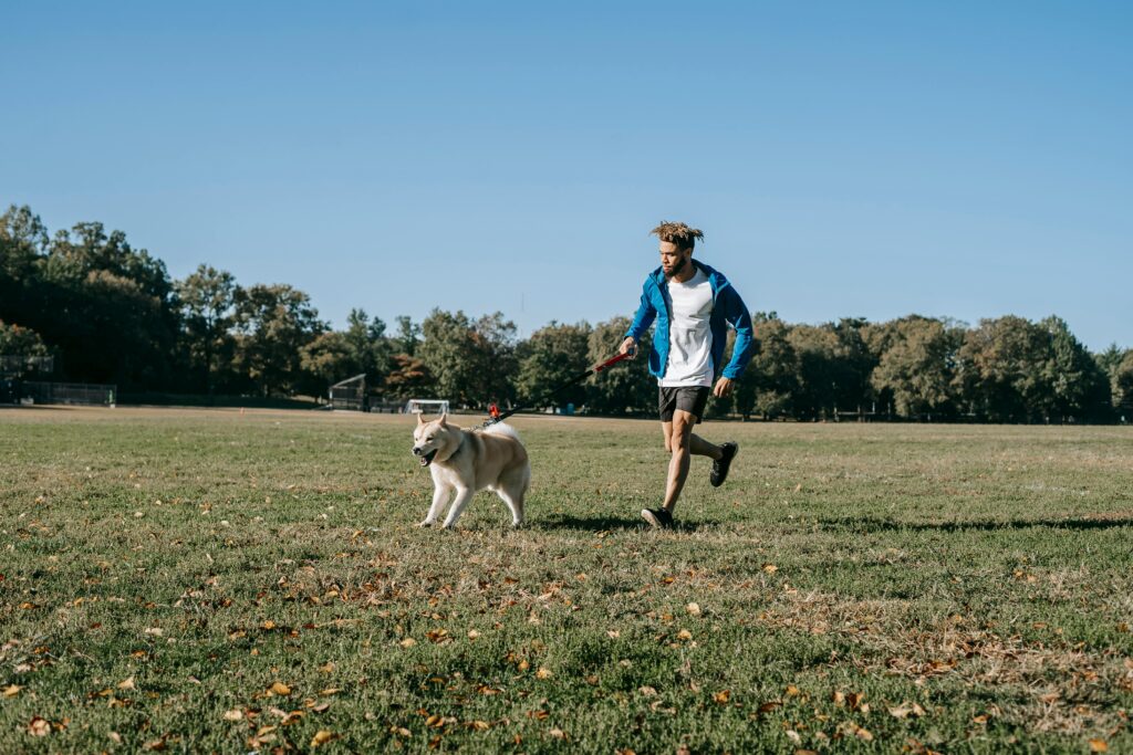 At what age is a dog not trainable in 2024?
What Exactly is Bikejoring in 2024?